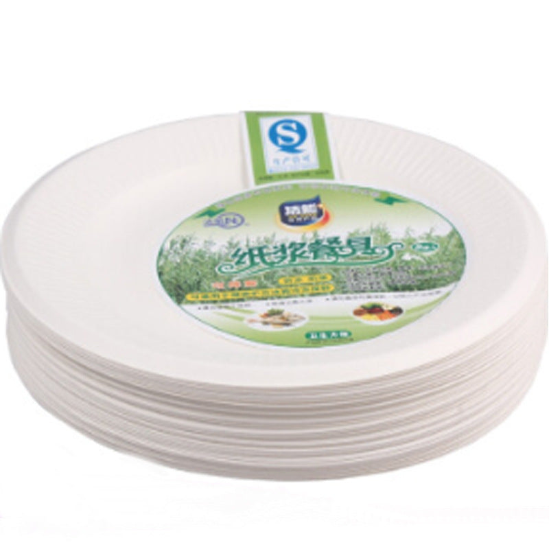 Disposable Paper Plates & Bowls — Pack of 8